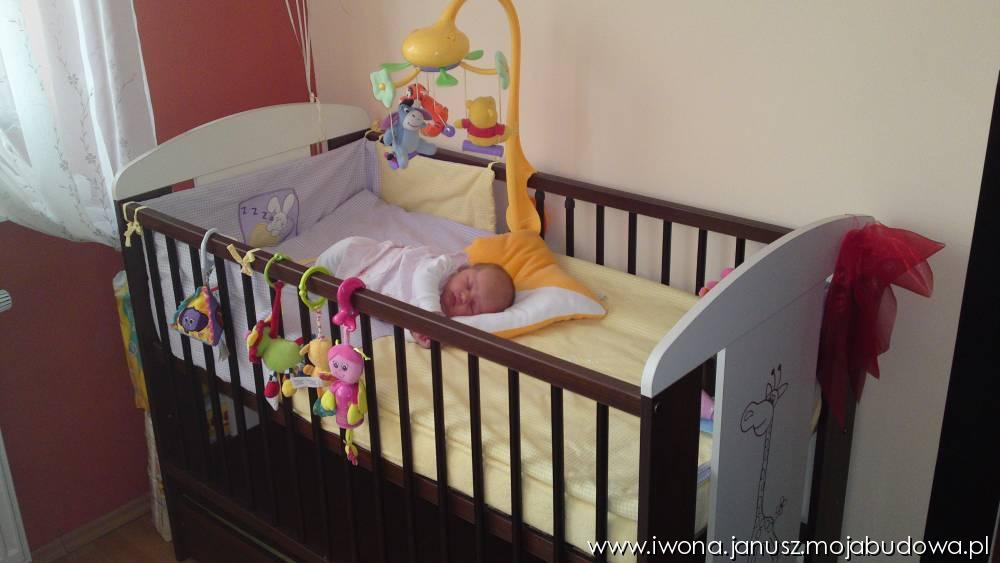 blog budowlany - mojabudowa.pl